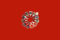 泉州市惠安县回收红酒